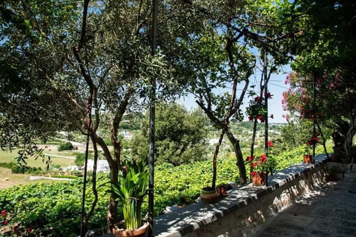 Belvedere لوكوروتوندو المظهر الخارجي الصورة