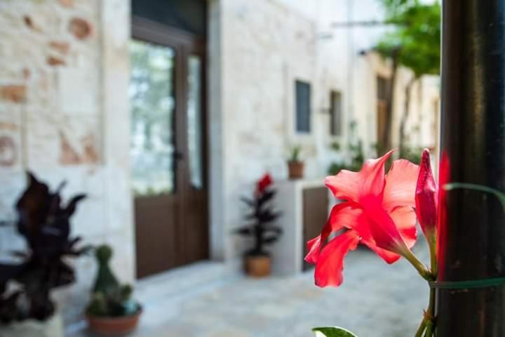 Belvedere لوكوروتوندو المظهر الخارجي الصورة
